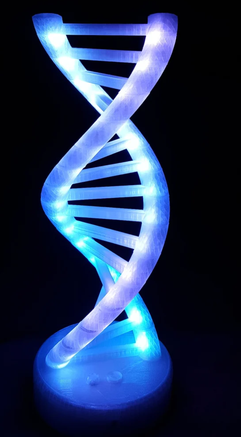 DNA-Lampe mit LEDs